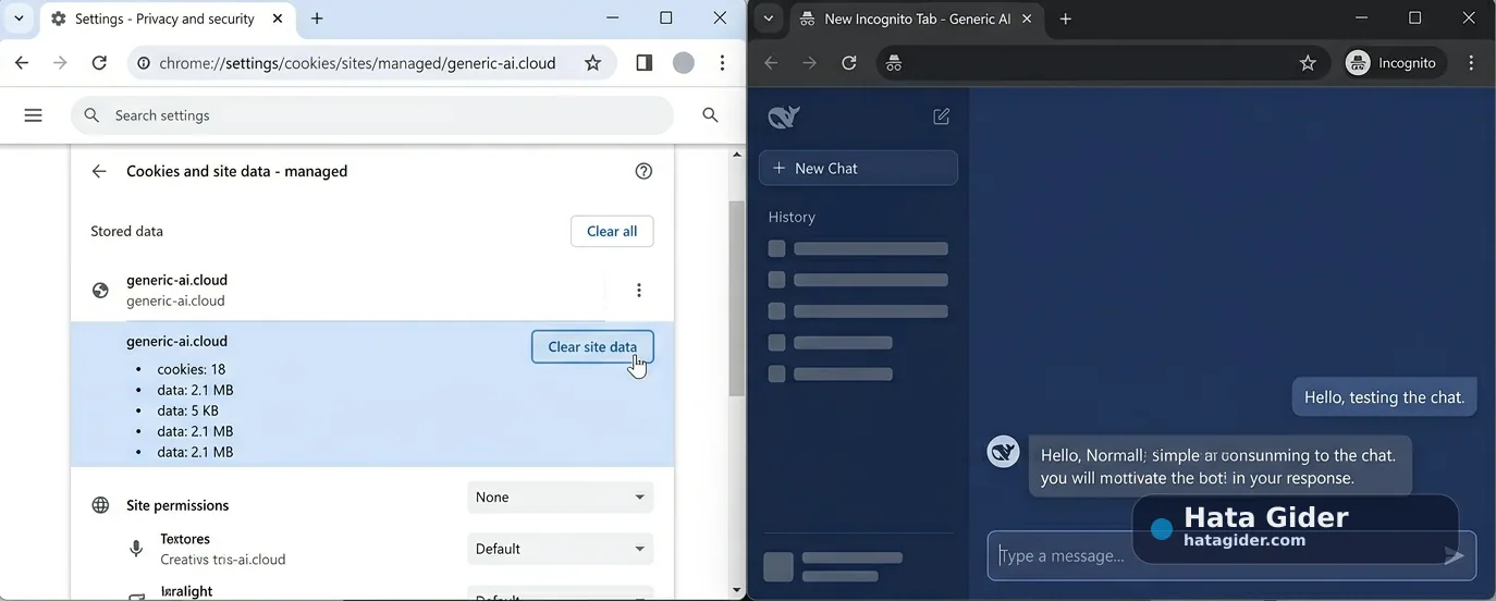 DeepSeek tarayıcı çerez temizleme eklenti kapatma ve gizli pencere çözümü
